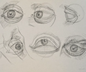 ANATOMIE FÜR KÜNSTLER: Anatomie der Augen, Teil 2